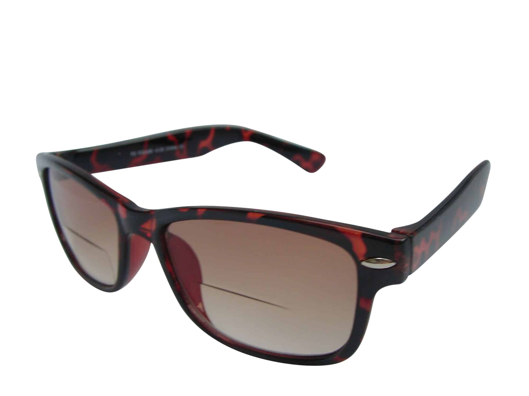 Wayfarer Bifocal Sunglasses in Tortoiseshell
