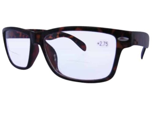 Delaware Wayfarer Bifocal Reading Glasses in Tortoiseshell